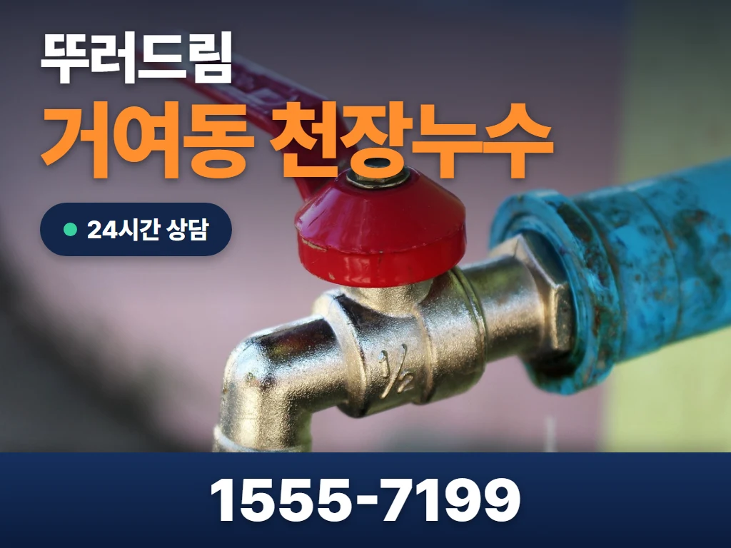 거여동 천장누수 현장