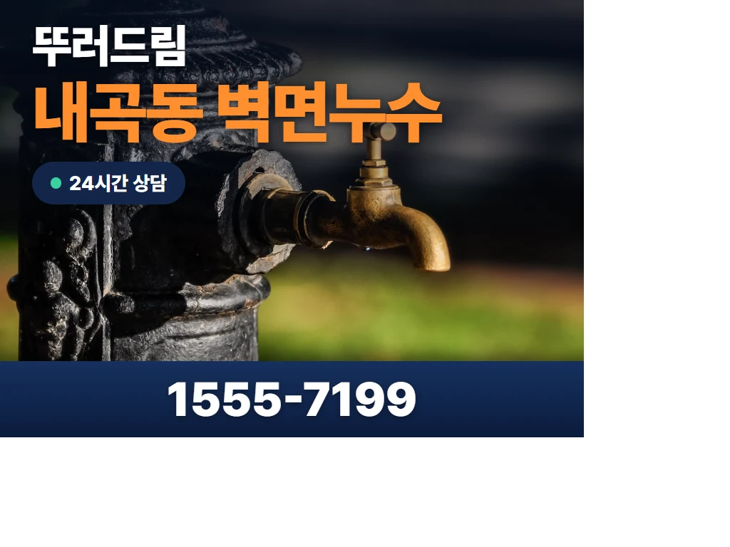 내곡동 벽면누수 현장