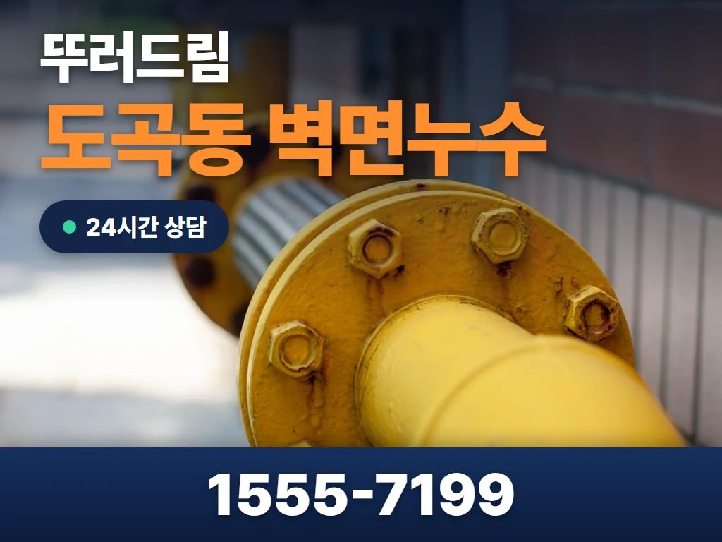 도곡동 벽면누수 현장