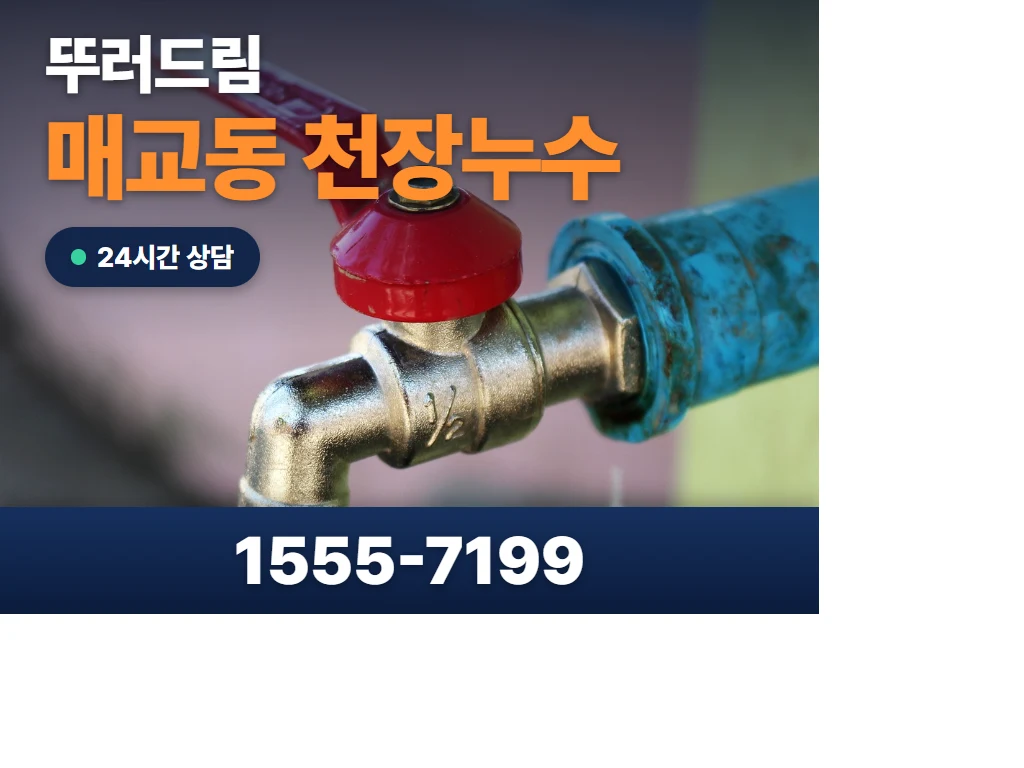 매교동 천장누수 현장