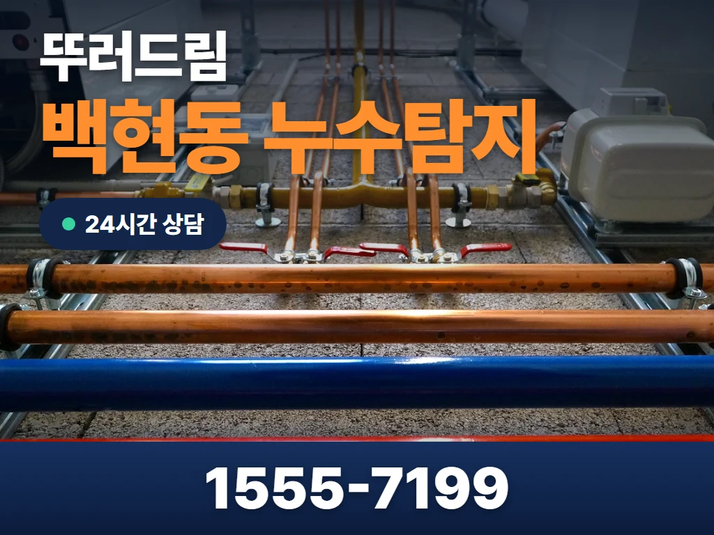 백현동 누수탐지 현장