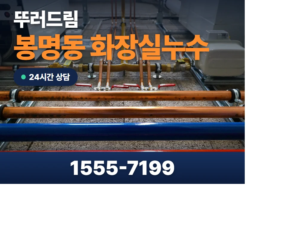 봉명동 화장실누수 현장