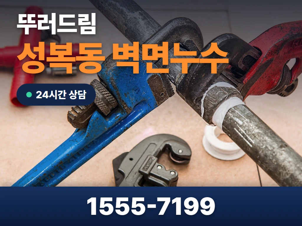 성복동 벽면누수 현장